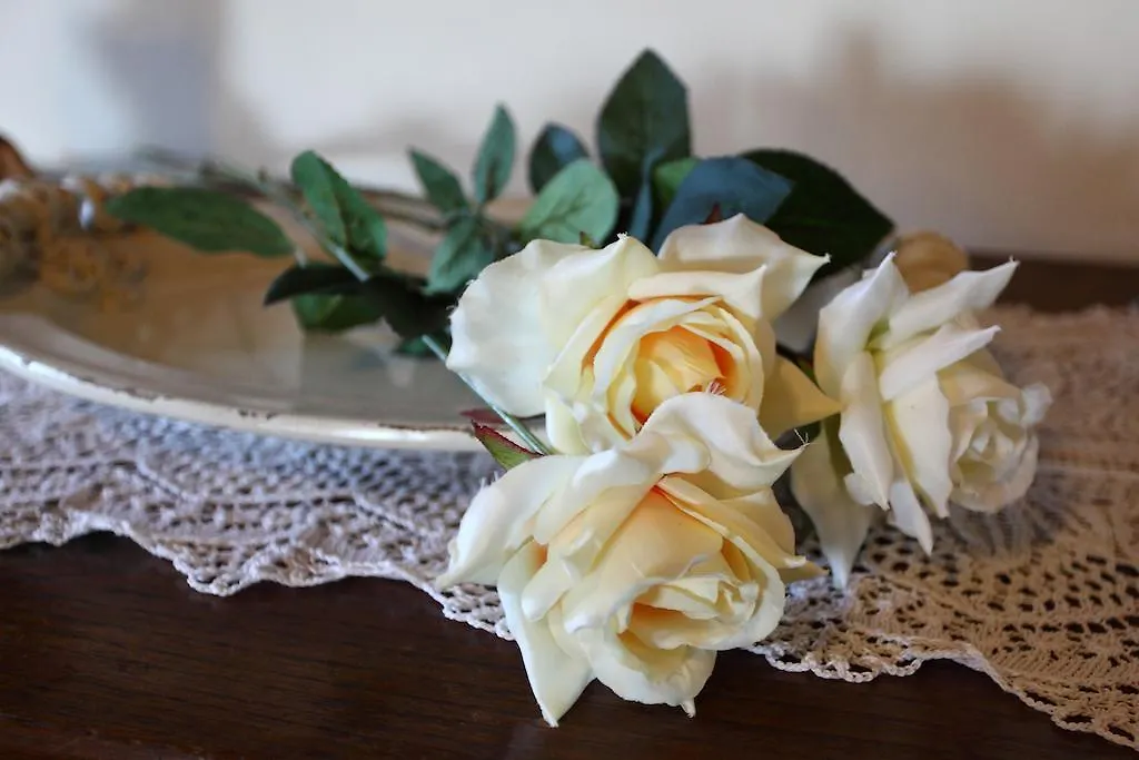 B&B Arivellini Vicopisano Bed & Breakfast